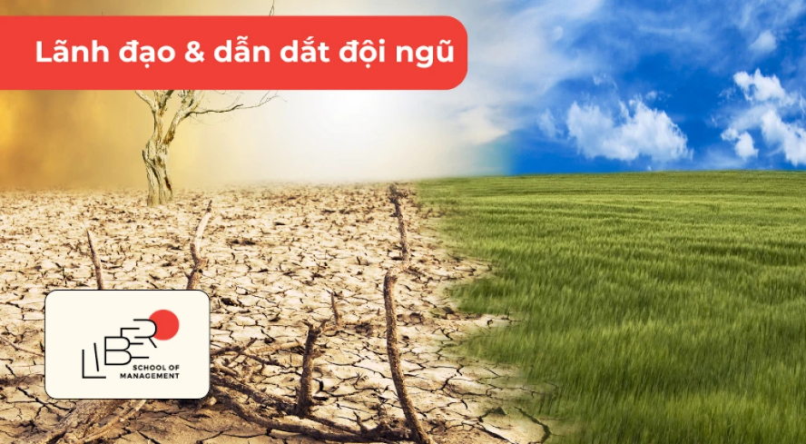 Quản lí sự thay đổi và chuyển tiếp